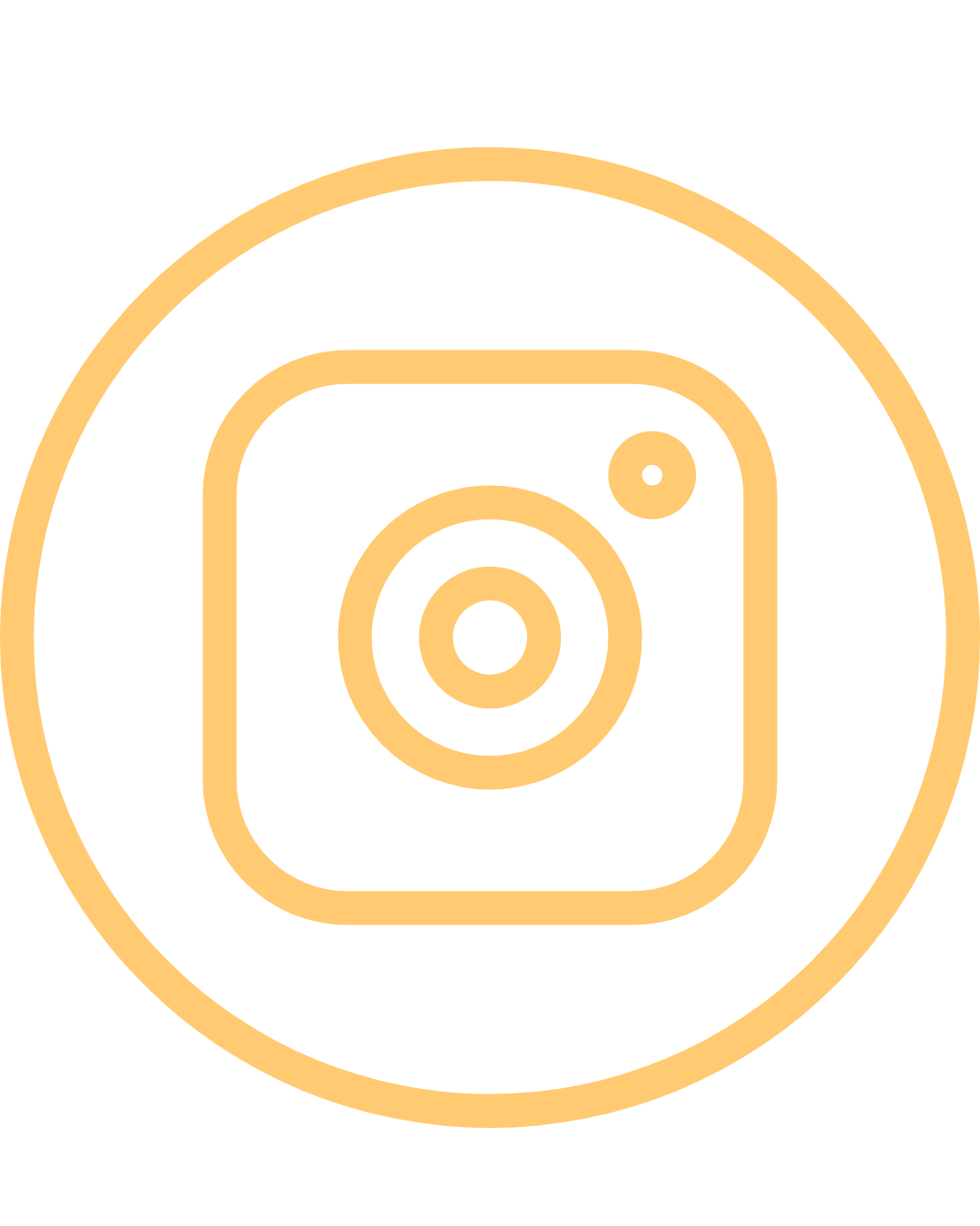 ICONO DE INSTAGRAM