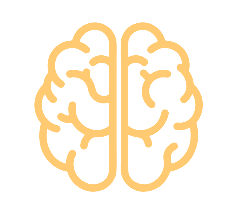 cerebro